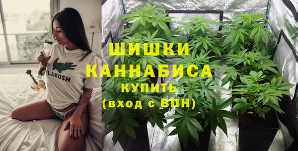 стаф Бугульма