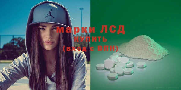 дживик Бородино