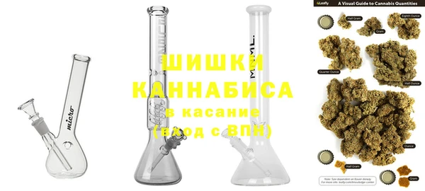сатива Бронницы