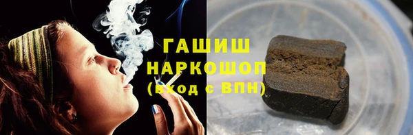 дживик Бородино