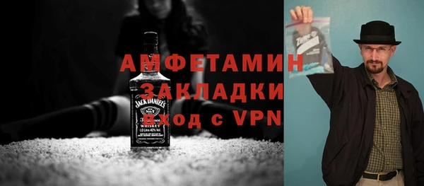 дживик Бородино