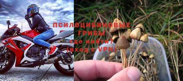дживик Бородино
