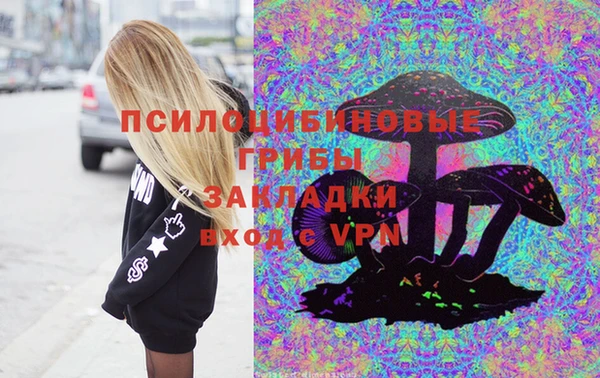 дживик Бородино
