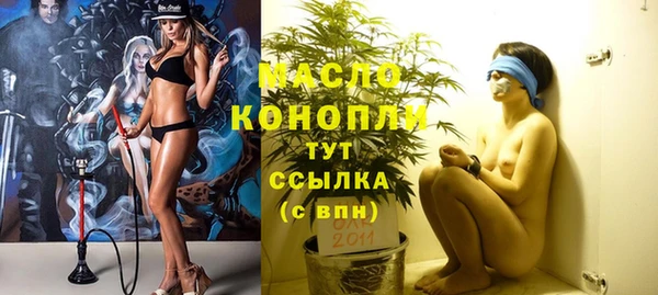 дживик Бородино