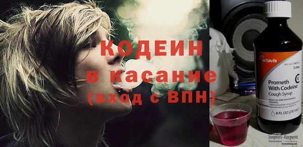 дживик Бородино