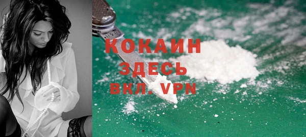 сатива Бронницы