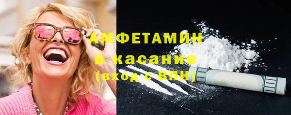 дживик Бородино
