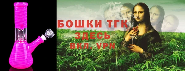 дживик Бородино