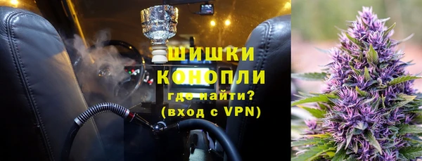 сатива Бронницы