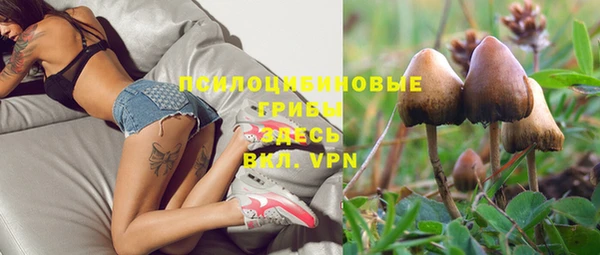 сатива Бронницы