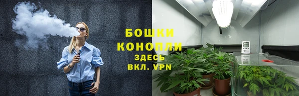 стаф Бугульма