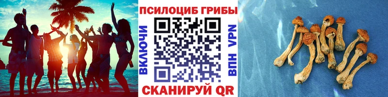 Галлюциногенные грибы Magic Shrooms  Грязовец 