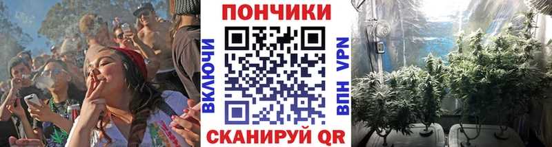 Канабис Amnesia Грязовец